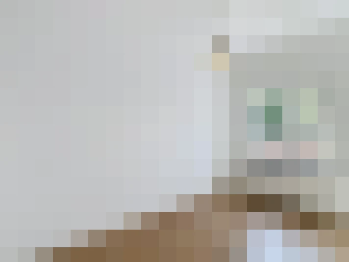  / #13