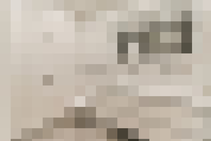  / #18