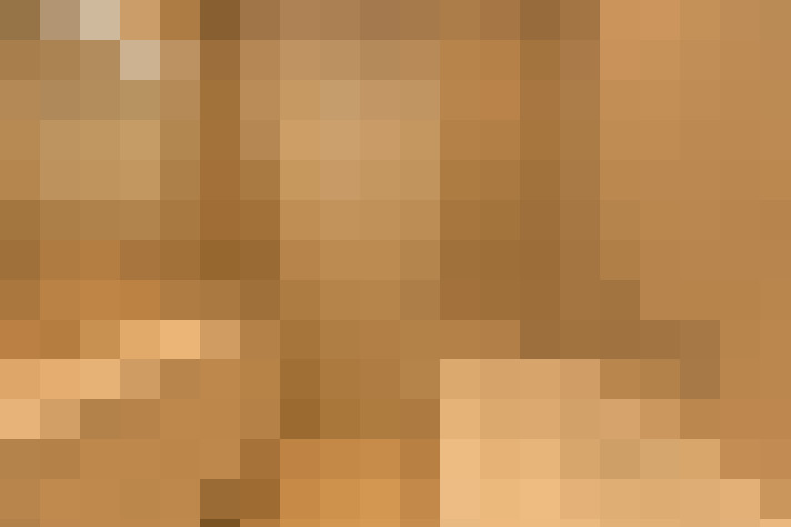  / #19
