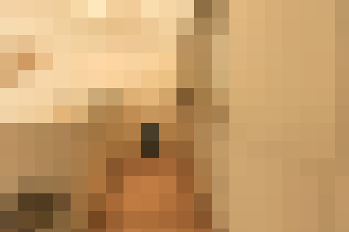  / #15