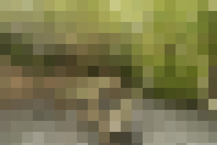  / #27