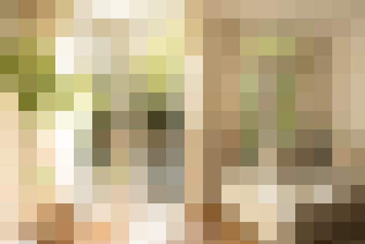  / #16