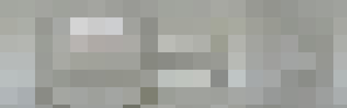  / #81