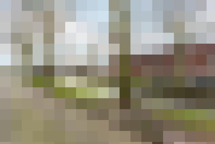  / #79