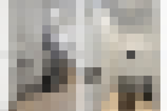  / #17