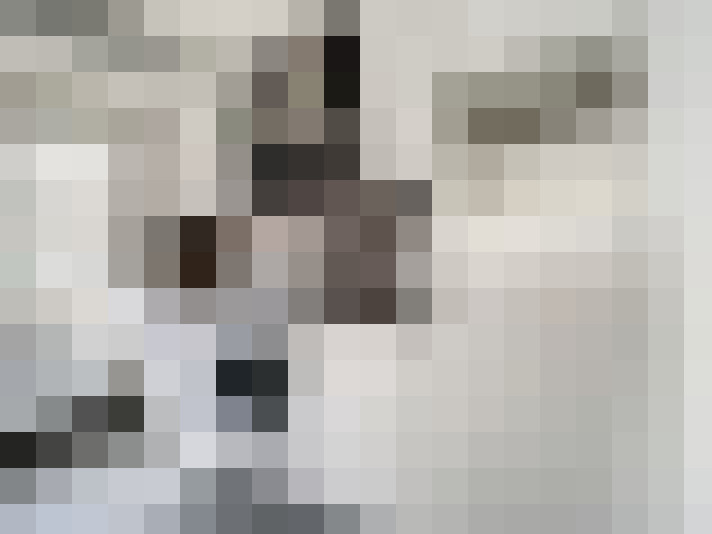 / #17