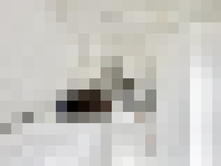  / #11