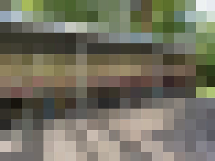  / #20