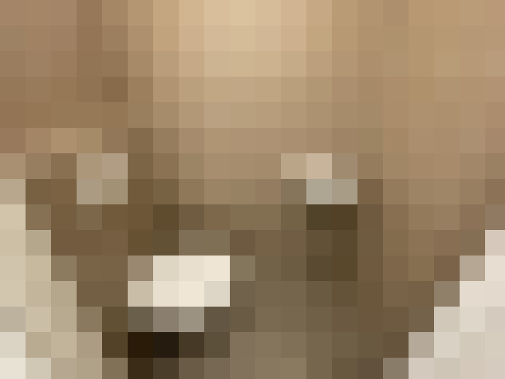  / #14