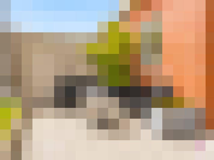  / #15