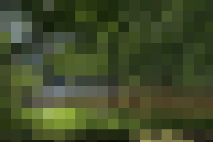  / #66