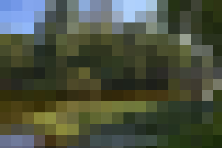  / #65