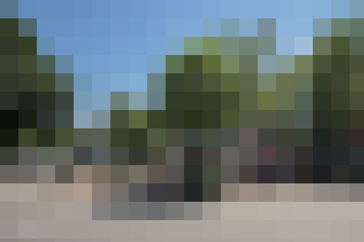  / #63