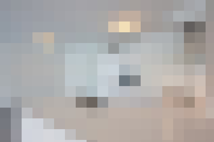  / #19