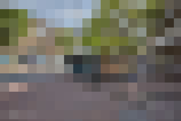  / #64