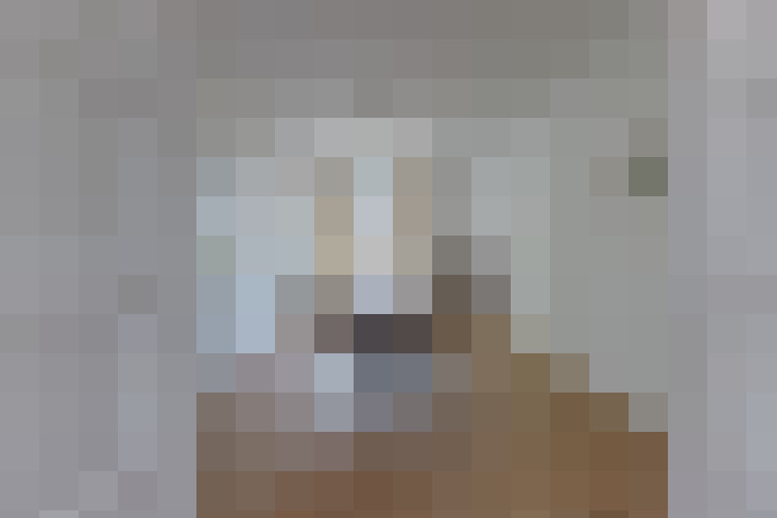  / #51