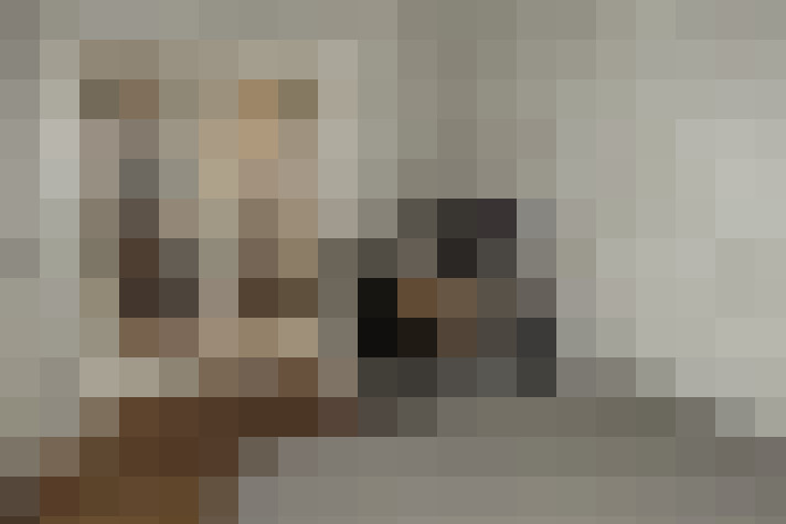  / #13