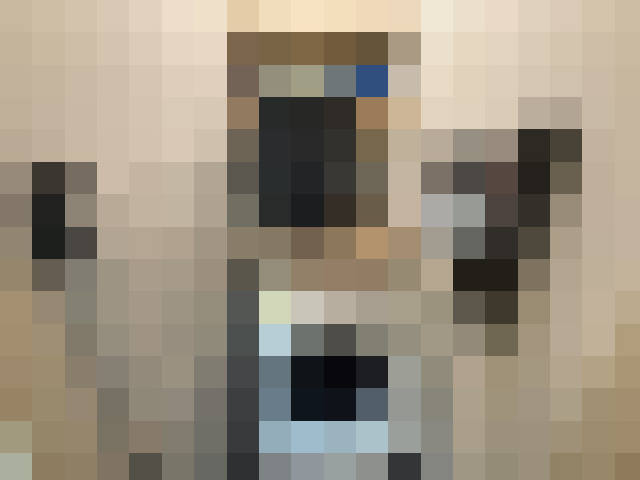  / #20