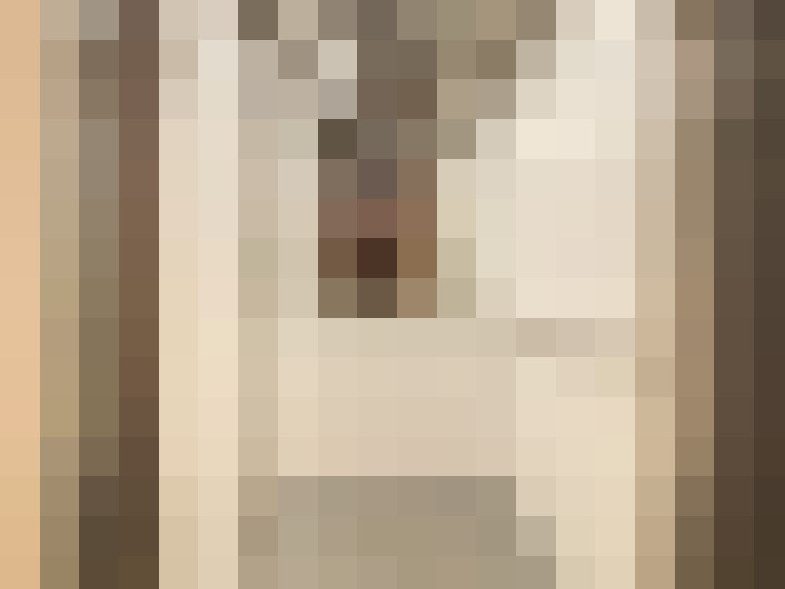  / #21