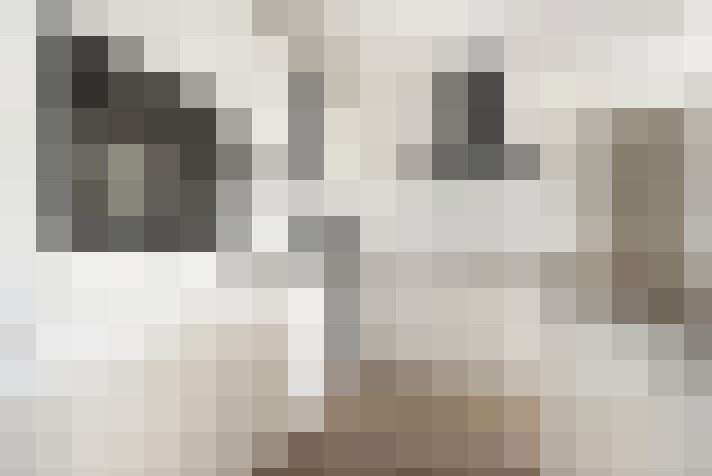  / #11