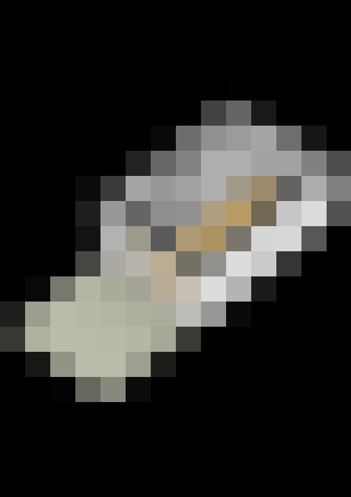  / #33