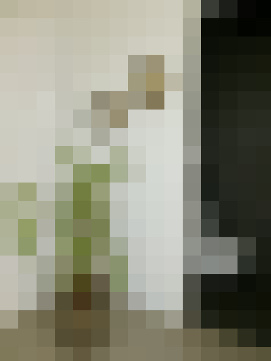  / #55