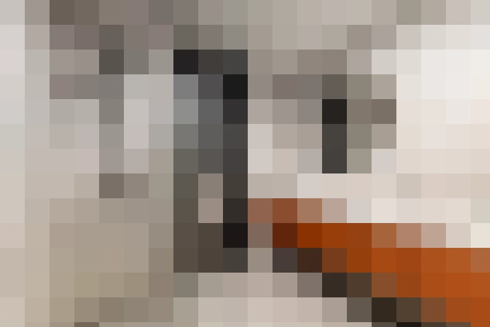  / #24