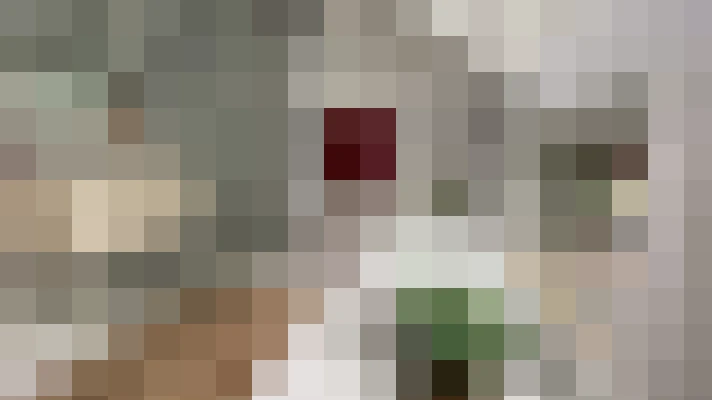  / #17