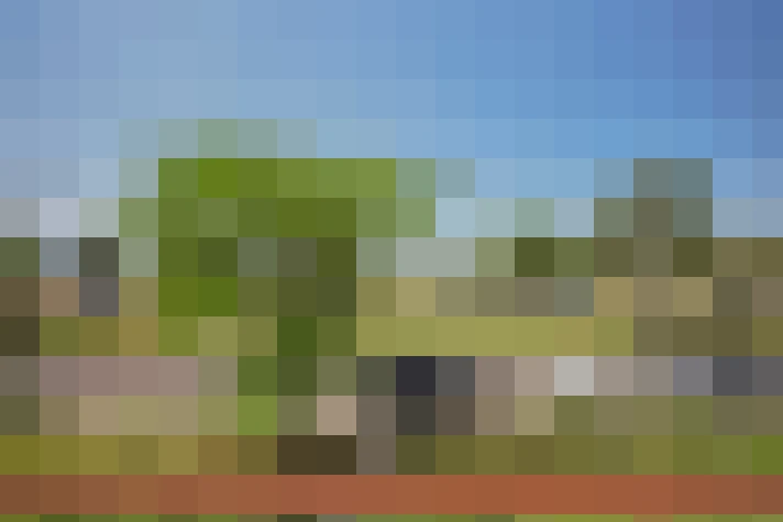  / #59