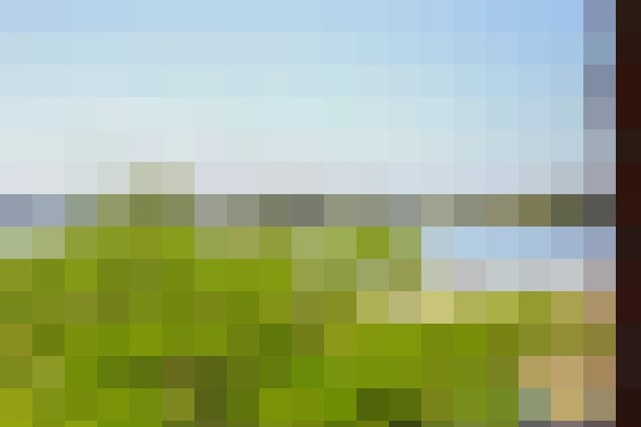  / #57