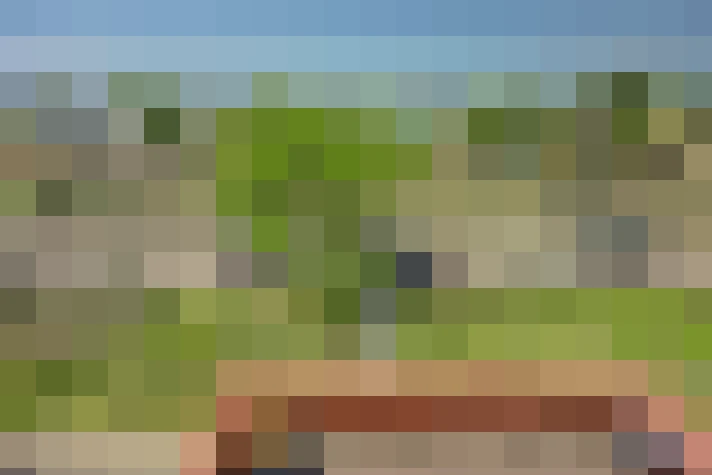  / #56