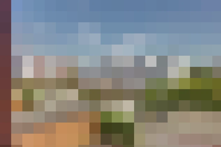  / #58