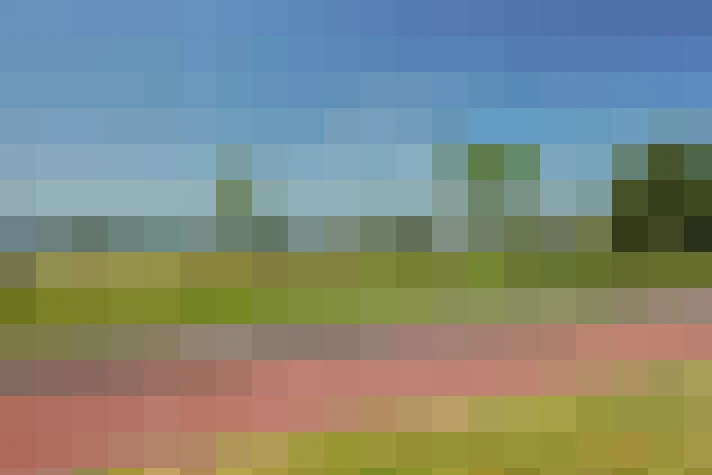  / #73