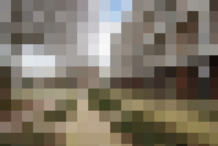  / #31