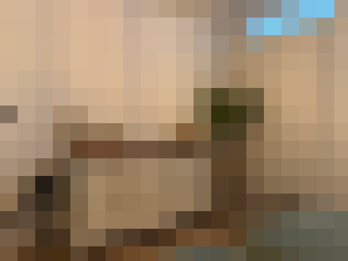  / #11