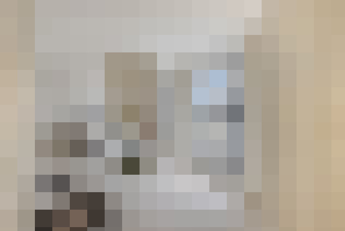  / #14