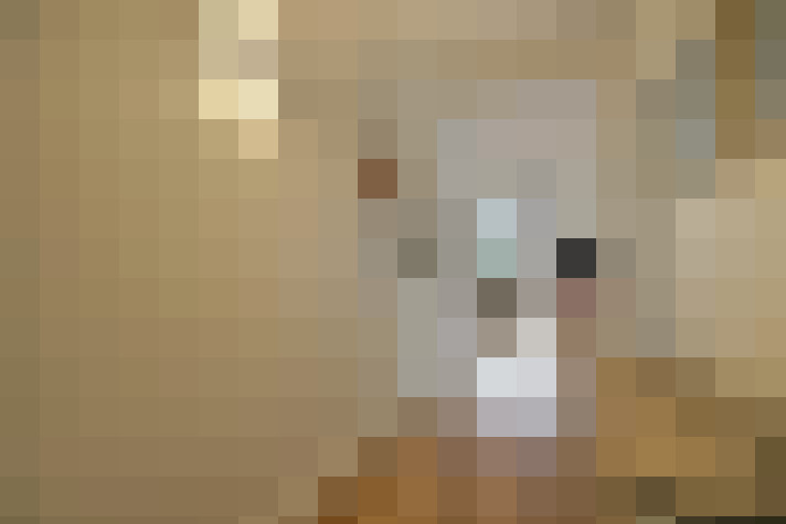  / #10
