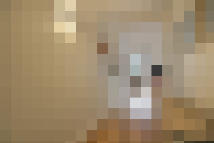  / #9