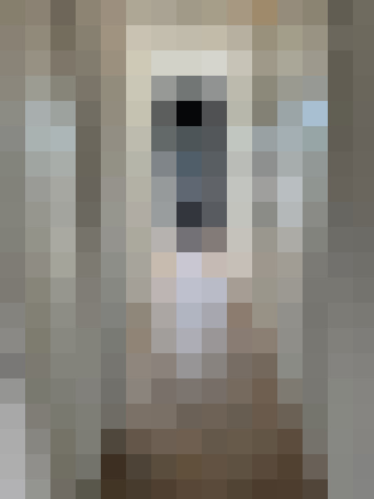  / #14
