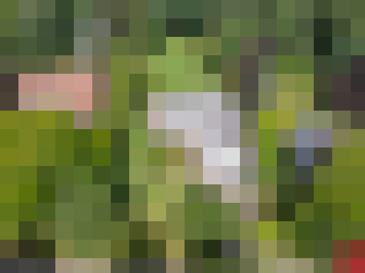  / #74