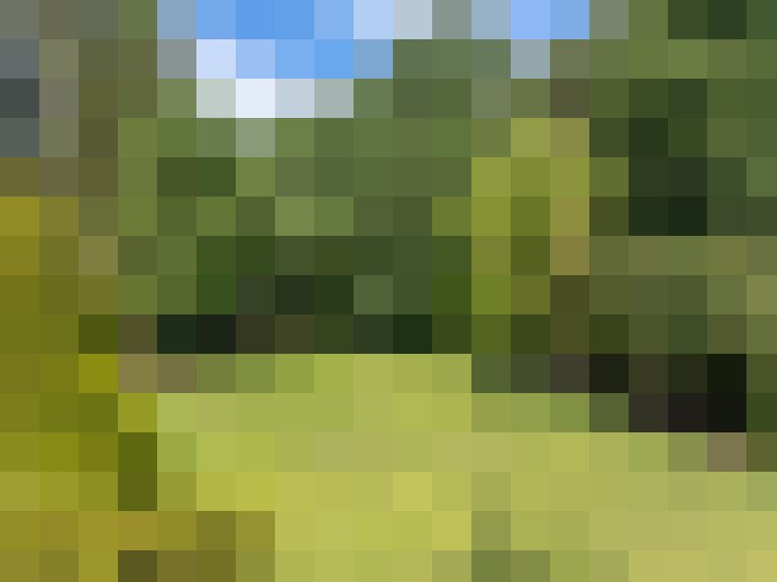  / #71