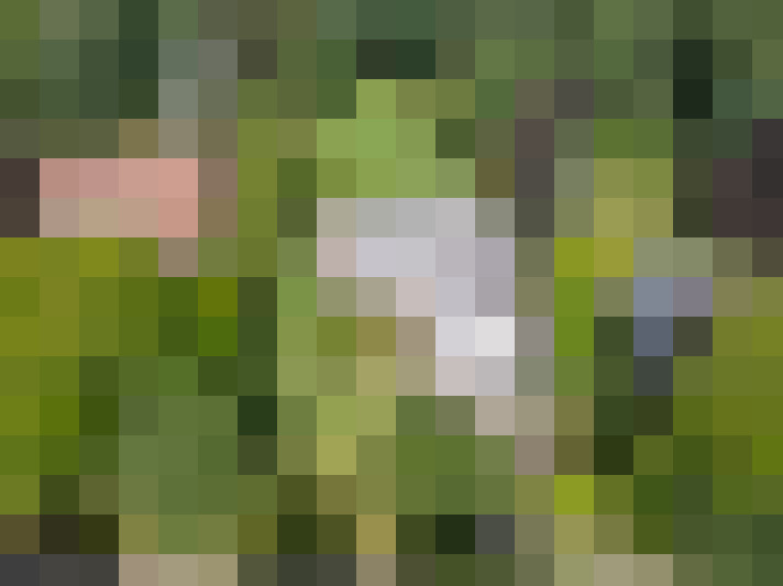  / #73