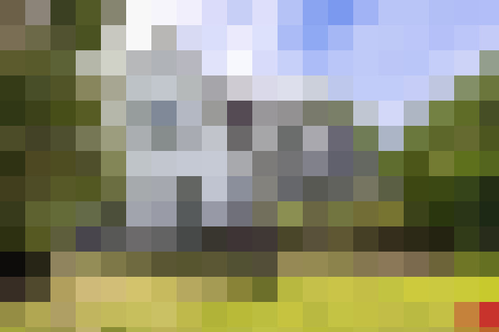  / #29