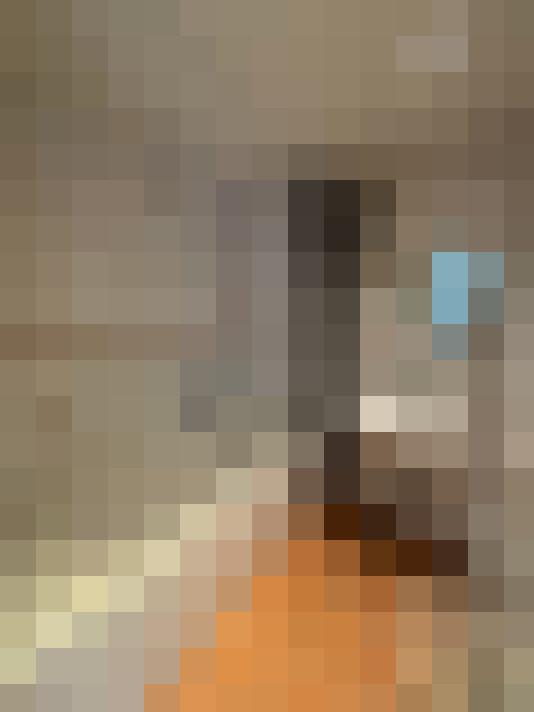  / #14