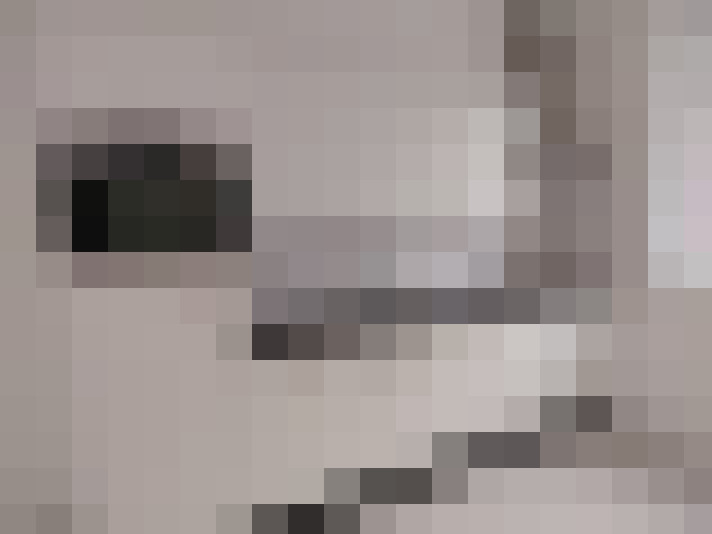  / #8