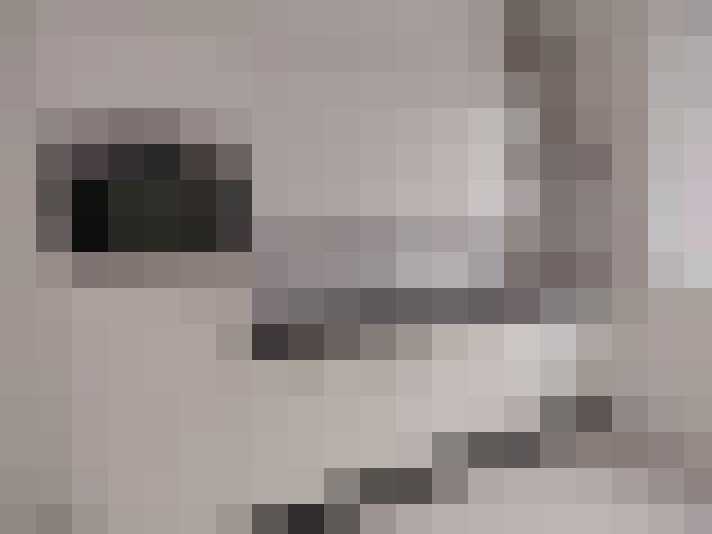  / #9
