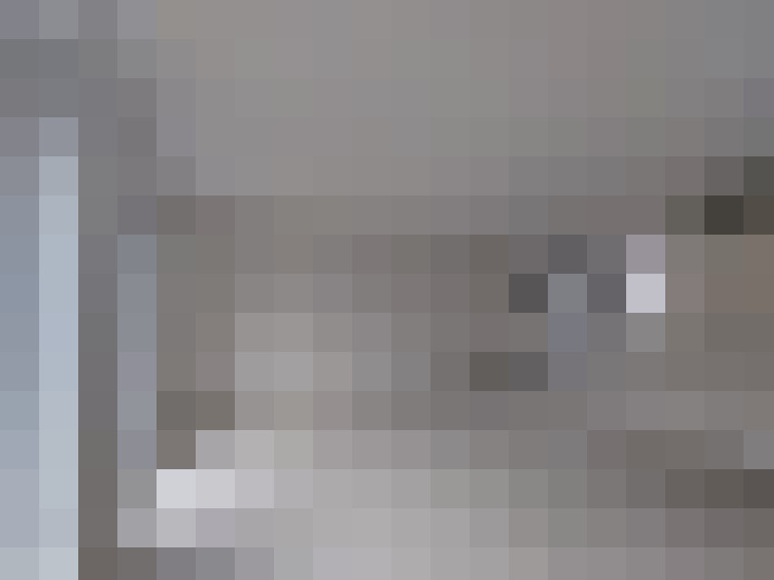  / #16