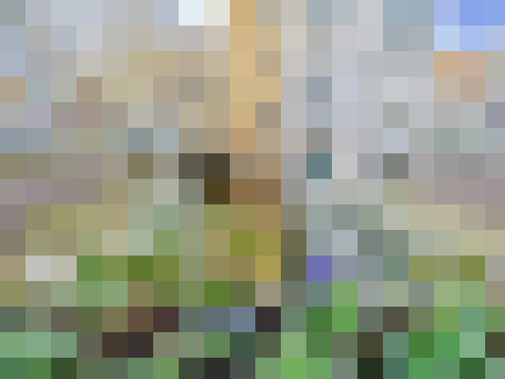  / #19