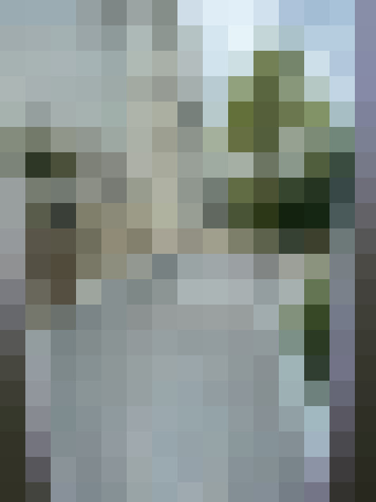  / #17