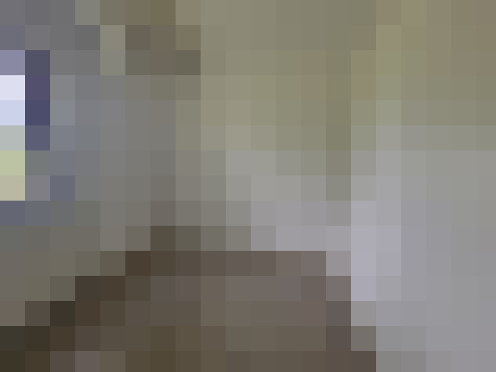  / #14